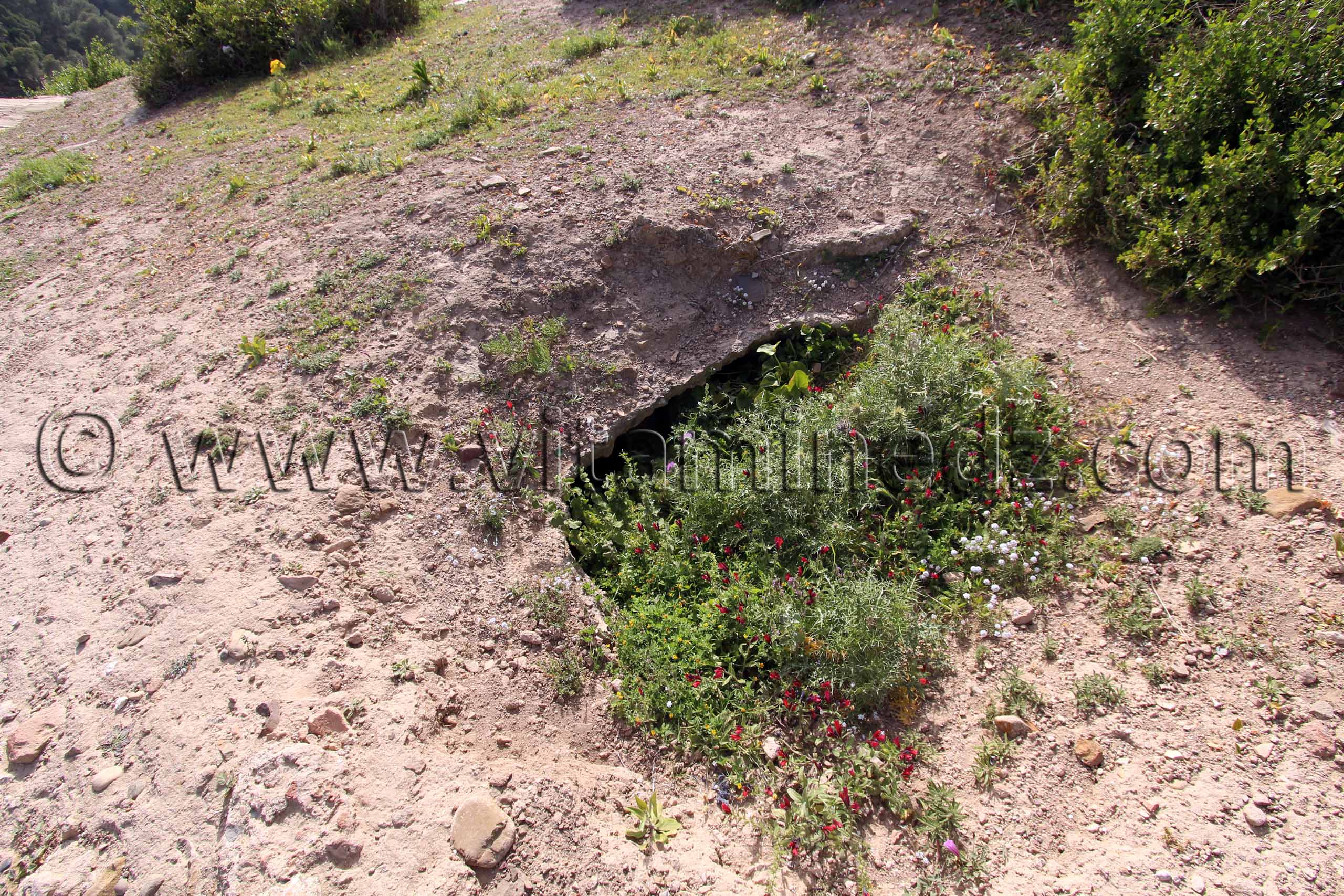 Hauteurs du vieux Tenes (W. Chlef), citerne ancienne enfuie sous terre