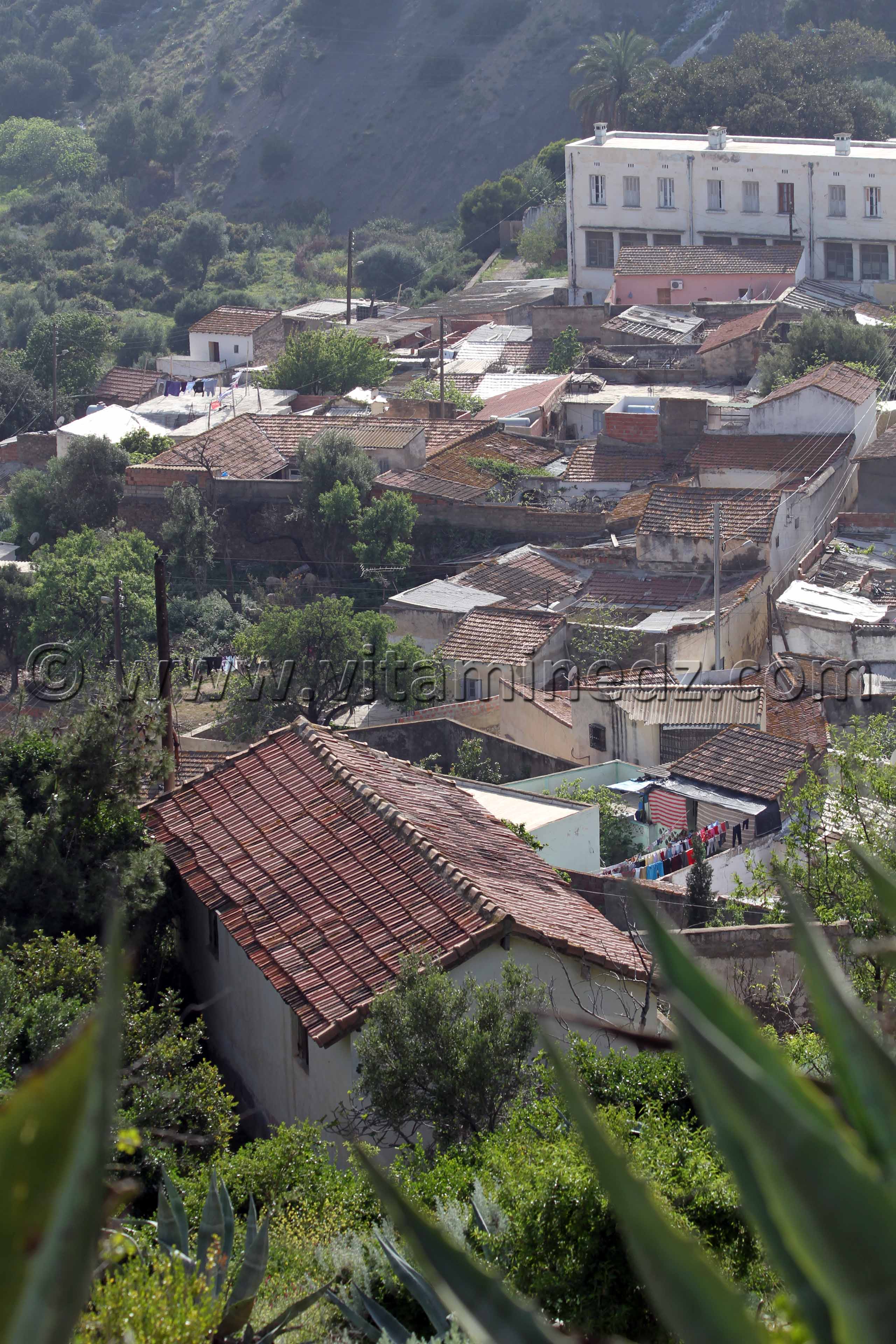 Maisons du Vieux Tenes (W. Chlef)