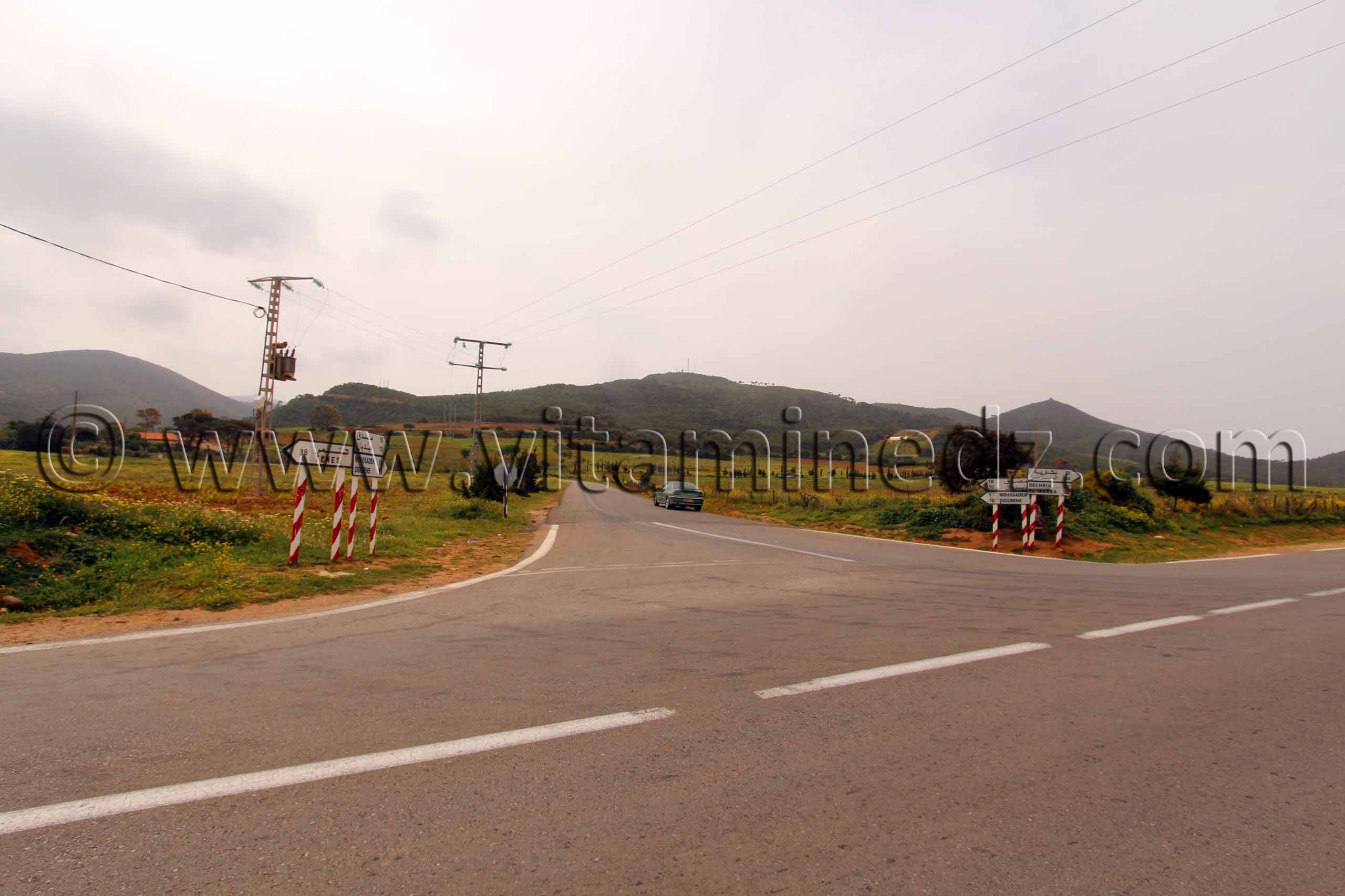 De colombi vers Mossadek, Didebene, Commune El Mersa (W. Chlef)