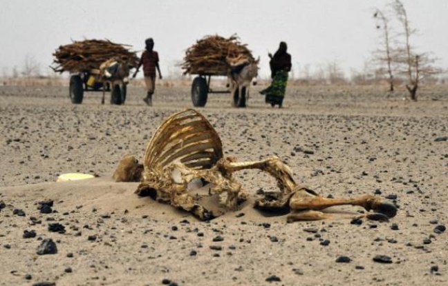 Planète - Climat: des ONG africaines appellent à aider l'Afrique à s'adapter