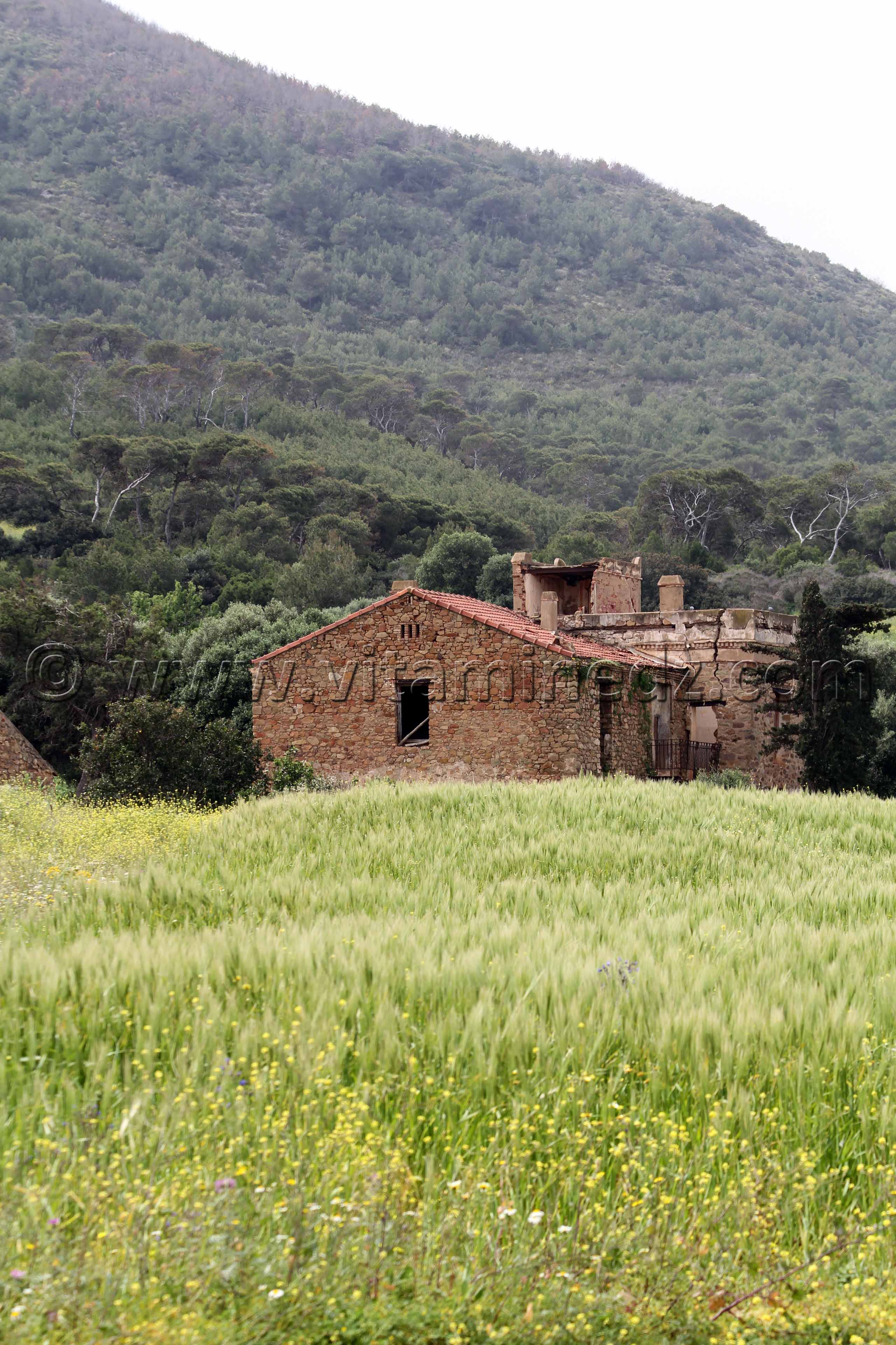 Maison de campagne abandonnée, Commune El Mersa (W. Chlef)