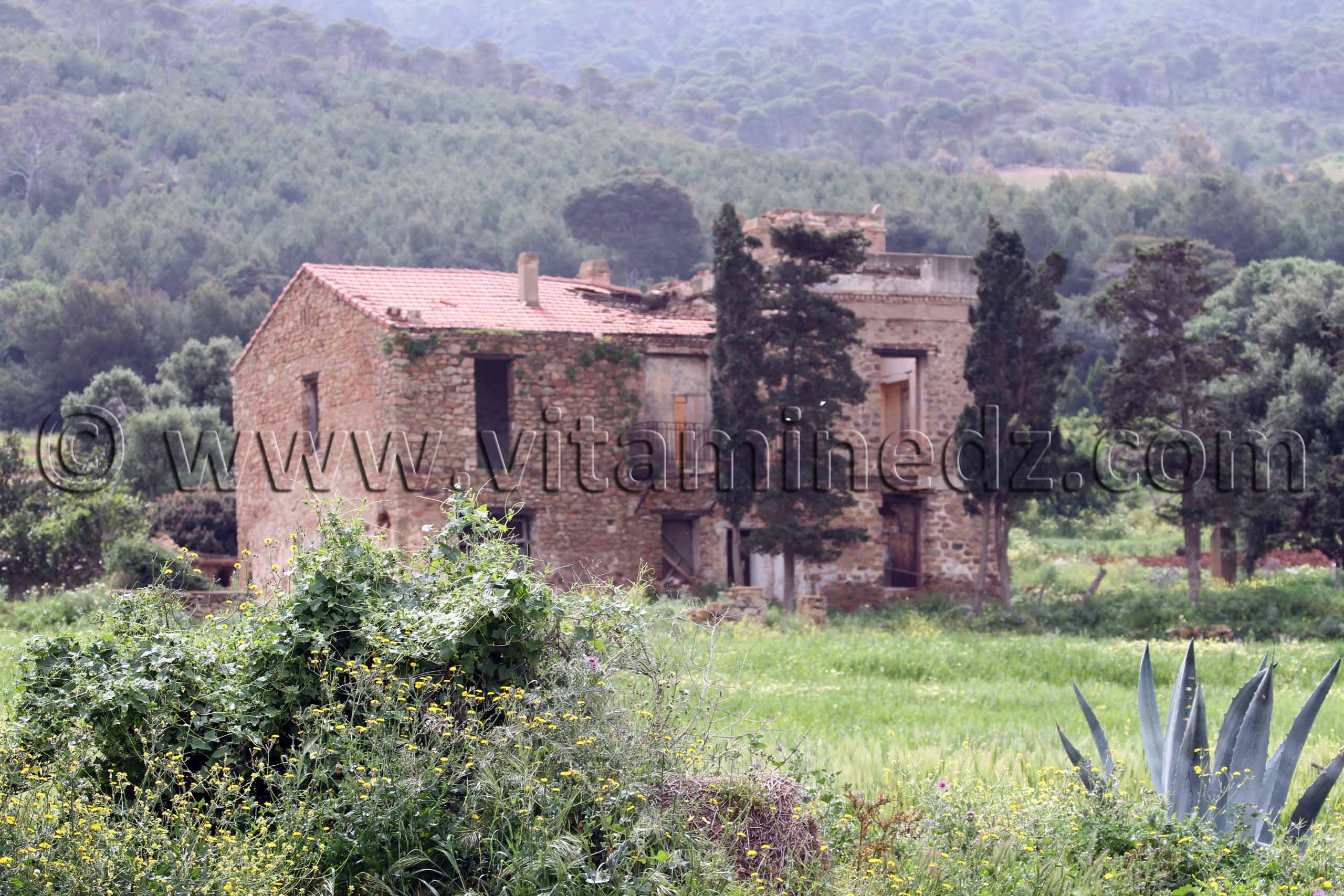 Maison coloniale en ruine, Commune El Mersa (W. Chlef)