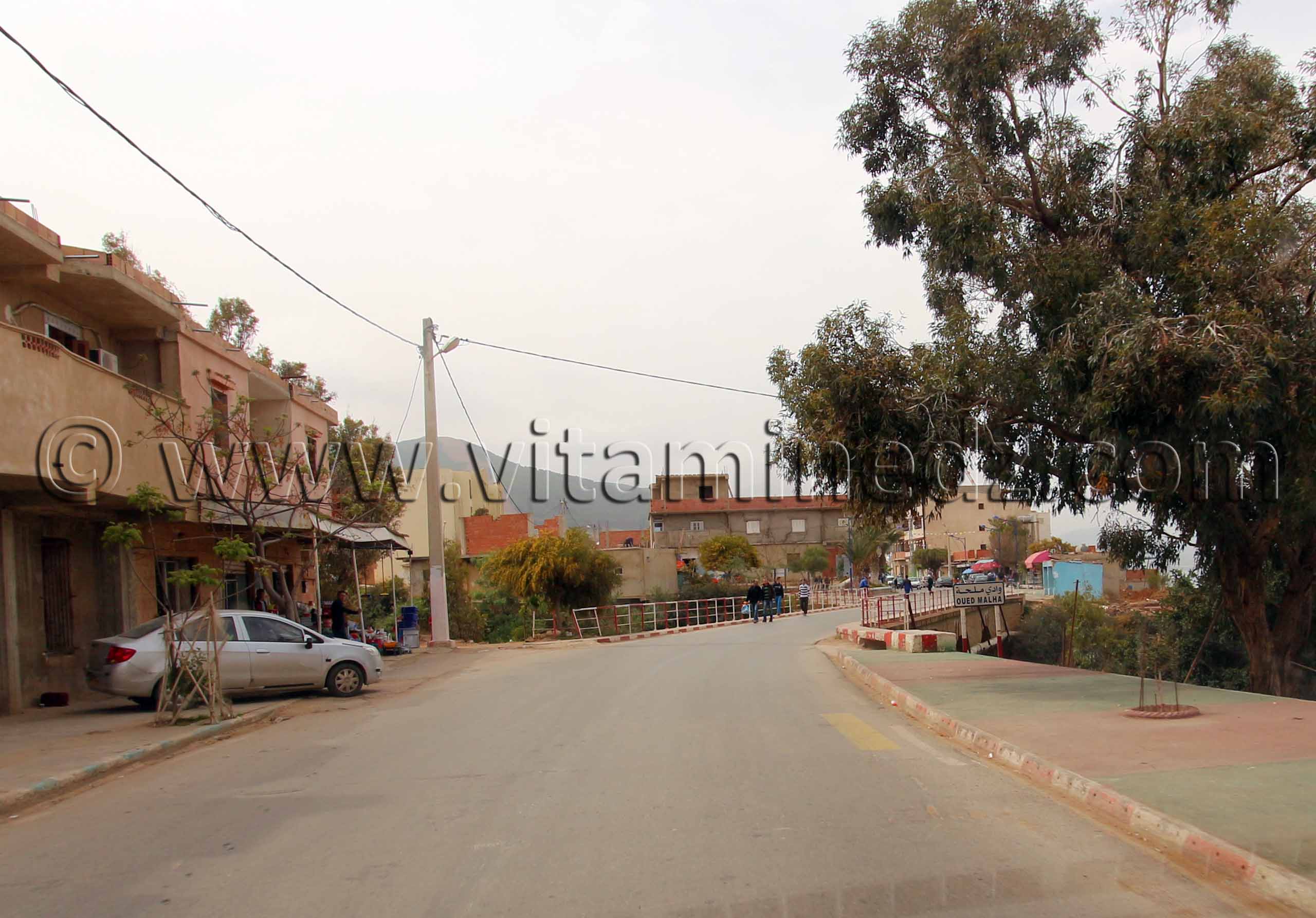 Oued Malha, Commune El Mersa (W. Chlef)