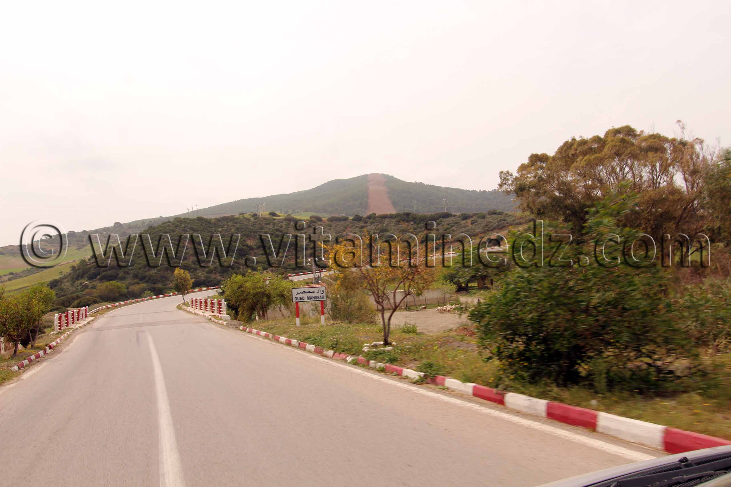 Oued Mahssar, Commune El Mersa (W. Chlef)