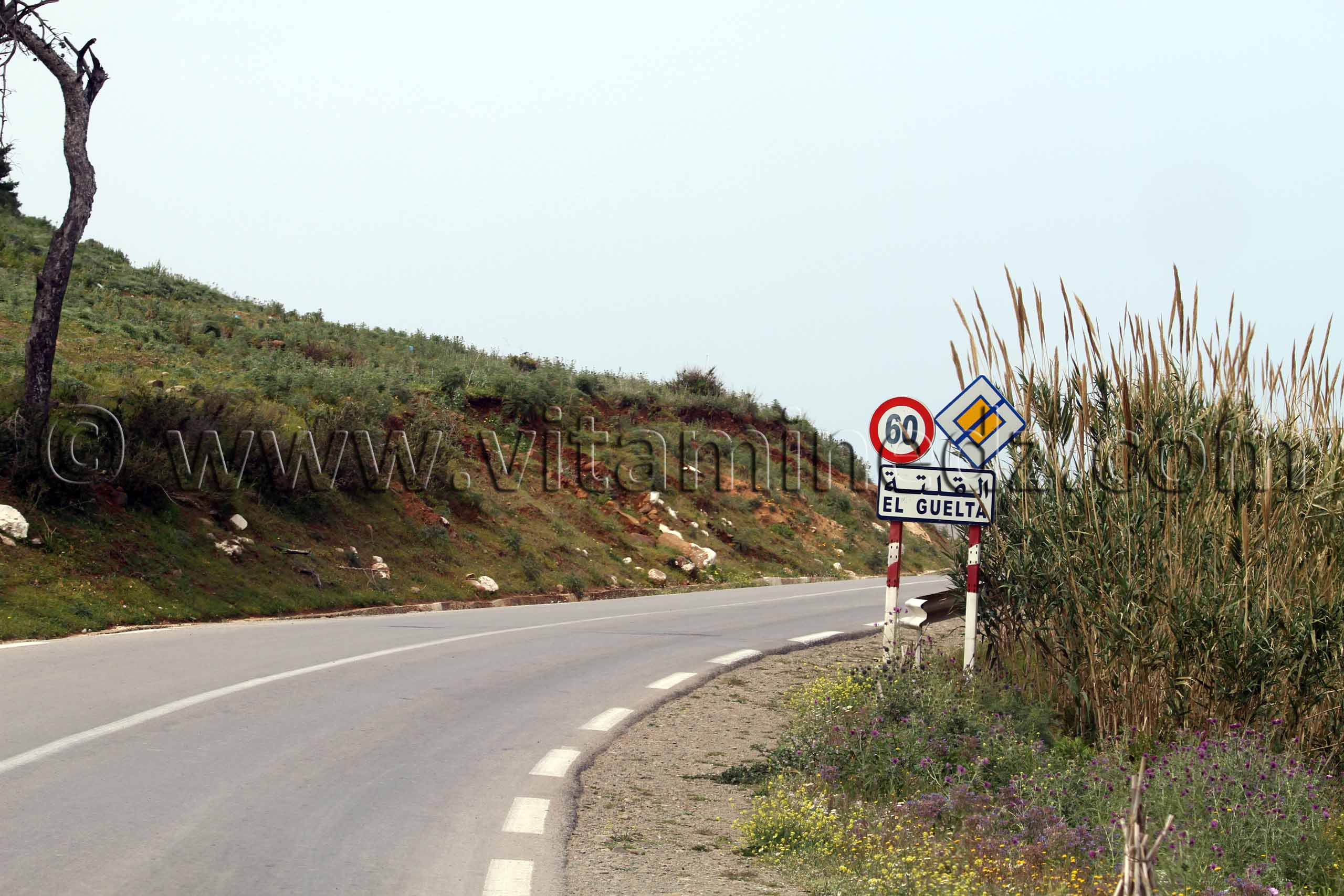 El Guelta, Commune El Mersa (W. Chlef)