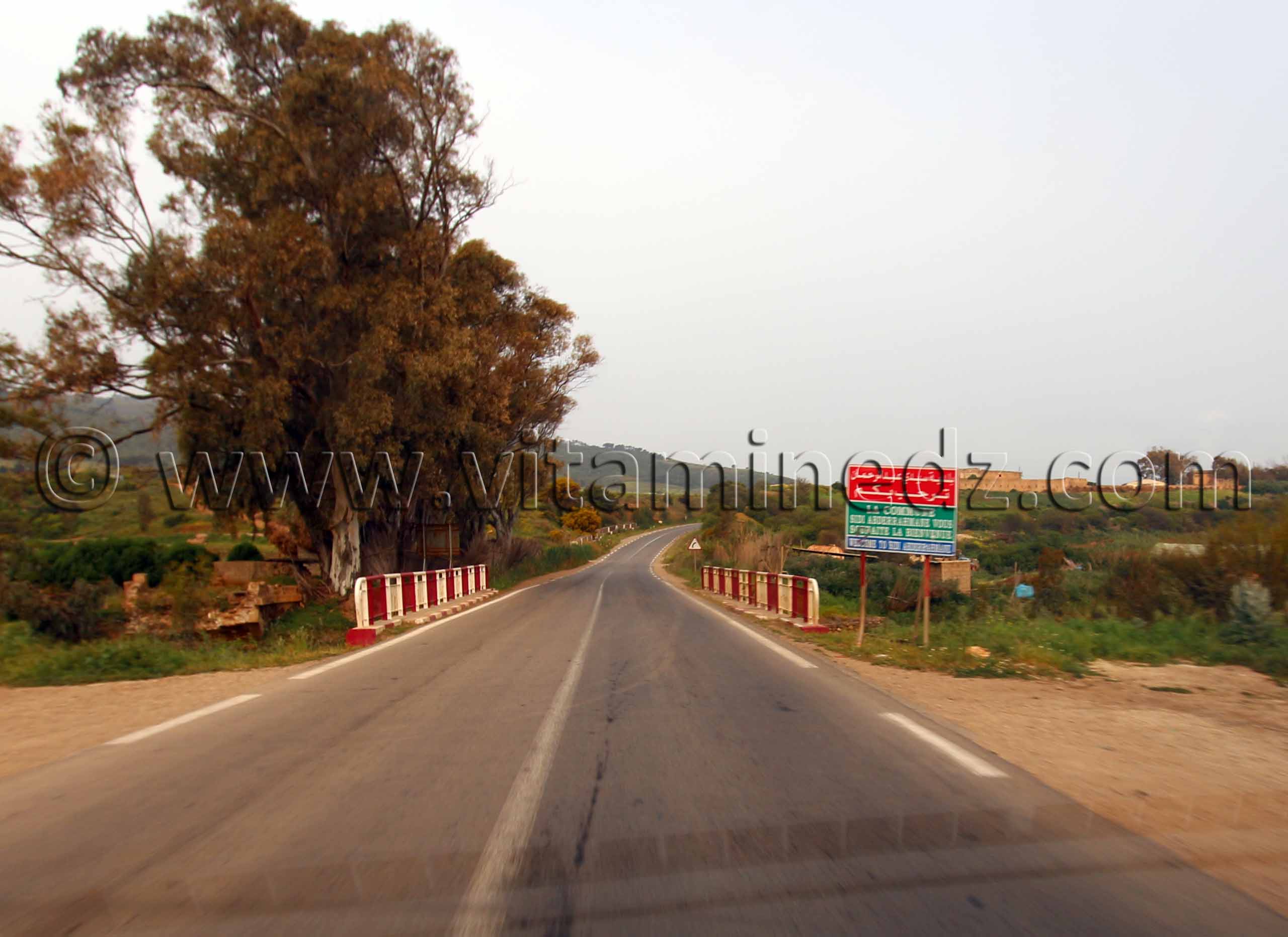 Entrée Commune de Sidi Abderrahmane (W. de Chlef)