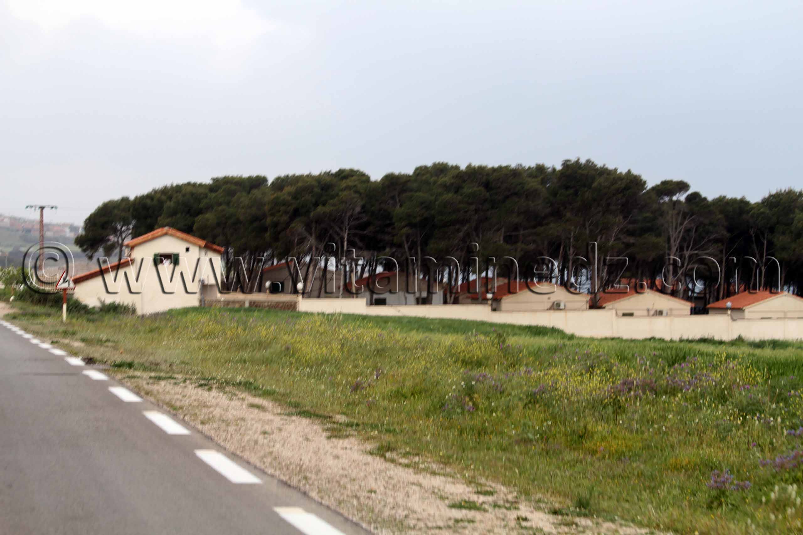 Centre de vacances les Dattiers, Commune de Sidi Abderrahmane (W. de Chlef)