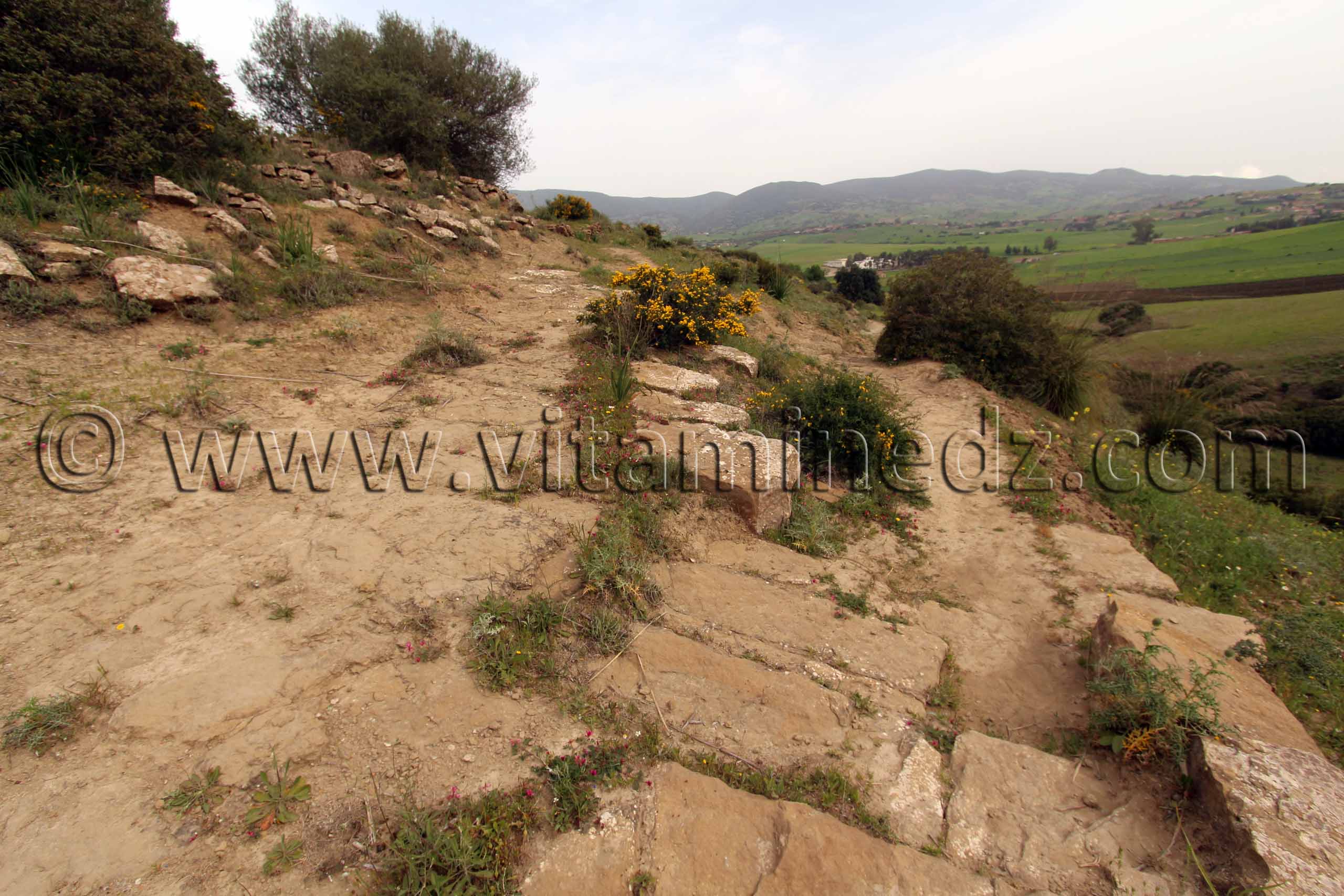 Escaliers d'une ville romaine inconnue enfouie sous le Cimetière de Sidi Ali Ben Aliya à Tafraout (Commune Abou El Hassan, W. Chlef)