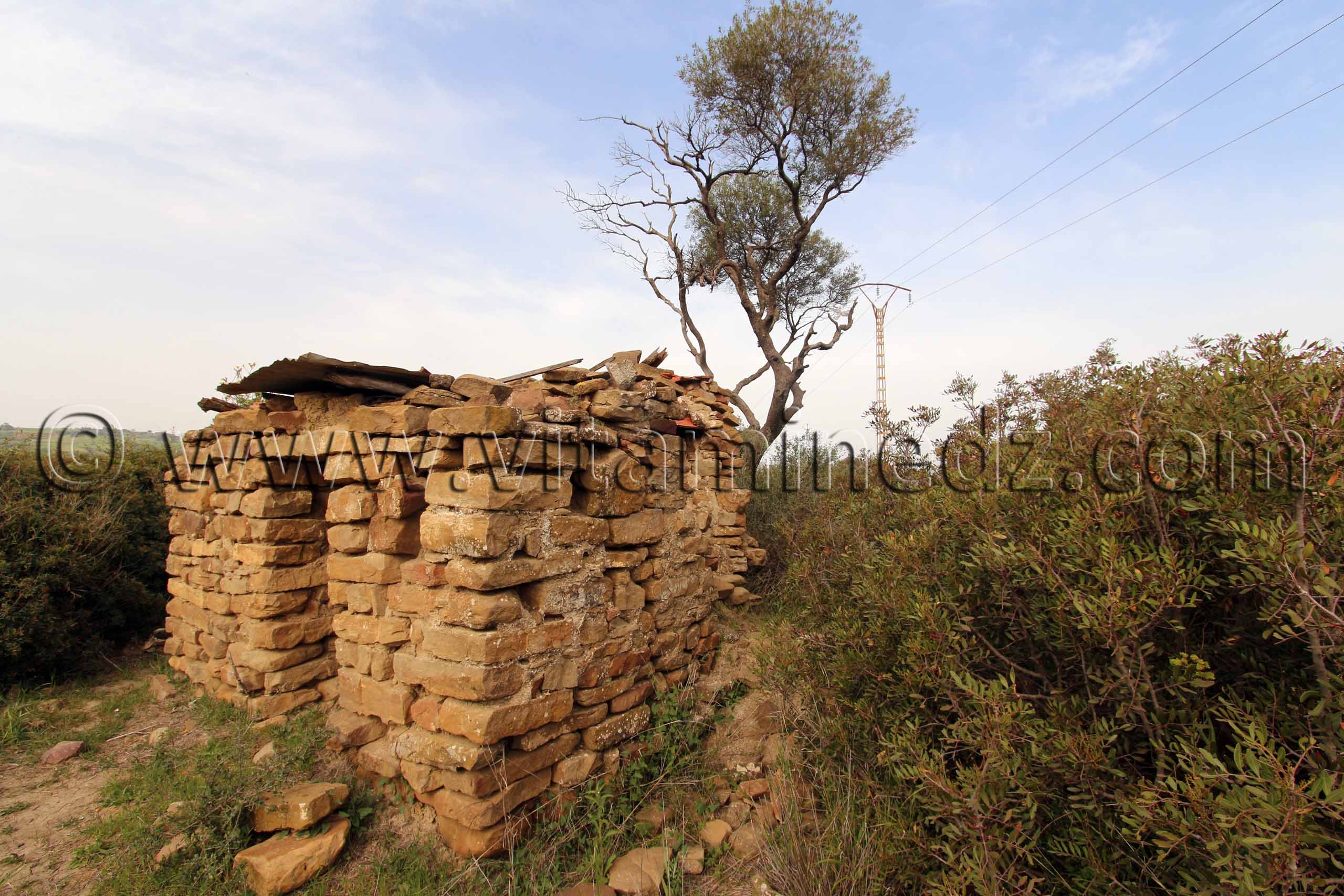 Tombeau de Sidi Ahmed Benziane à Tafraout (Commune Abou El Hassan, W. Chlef)