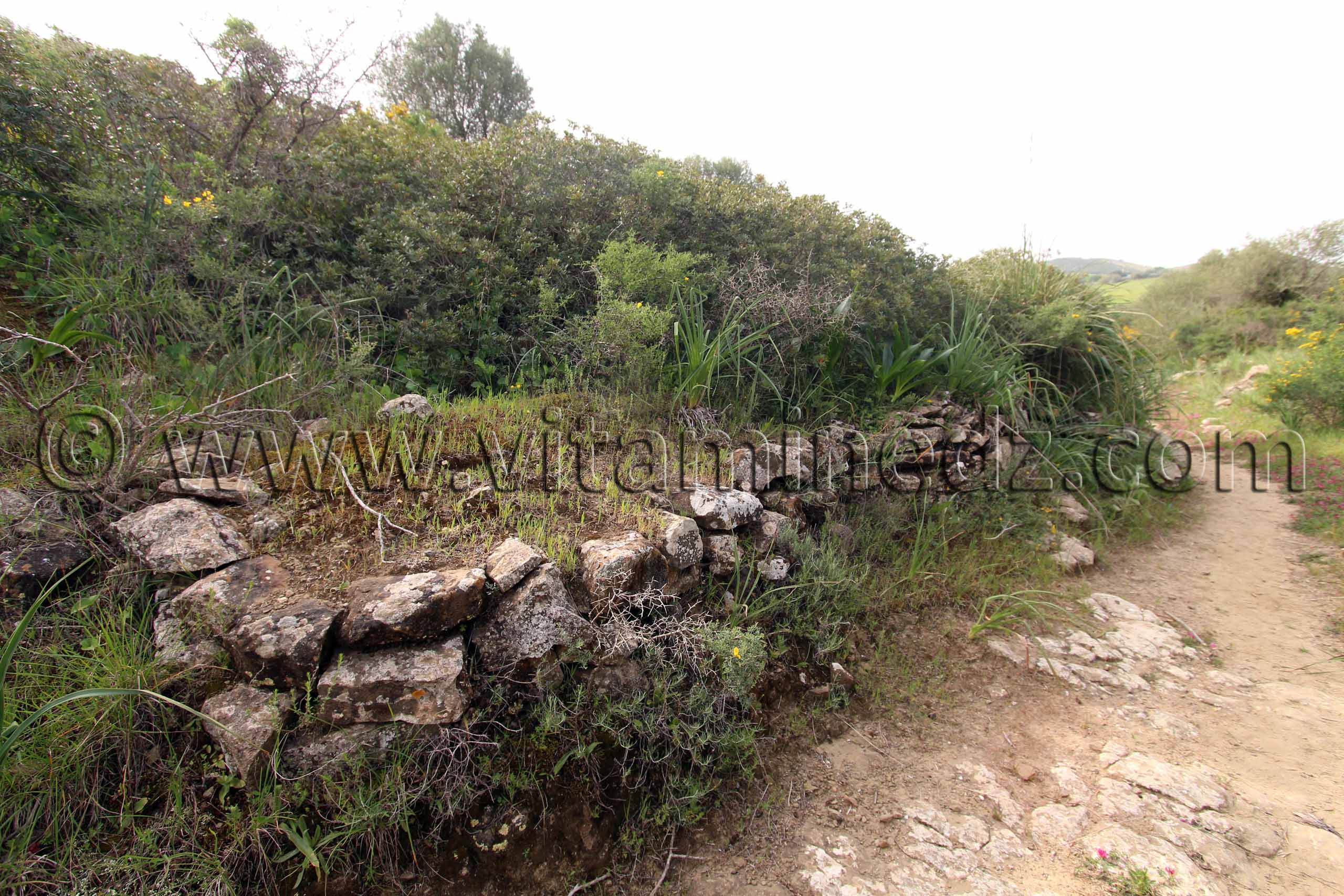 Ville romaine inconnue enfouie sous le Cimetière de Sidi Ali Ben Aliya à Tafraout (Commune Abou El Hassan, W. Chlef)