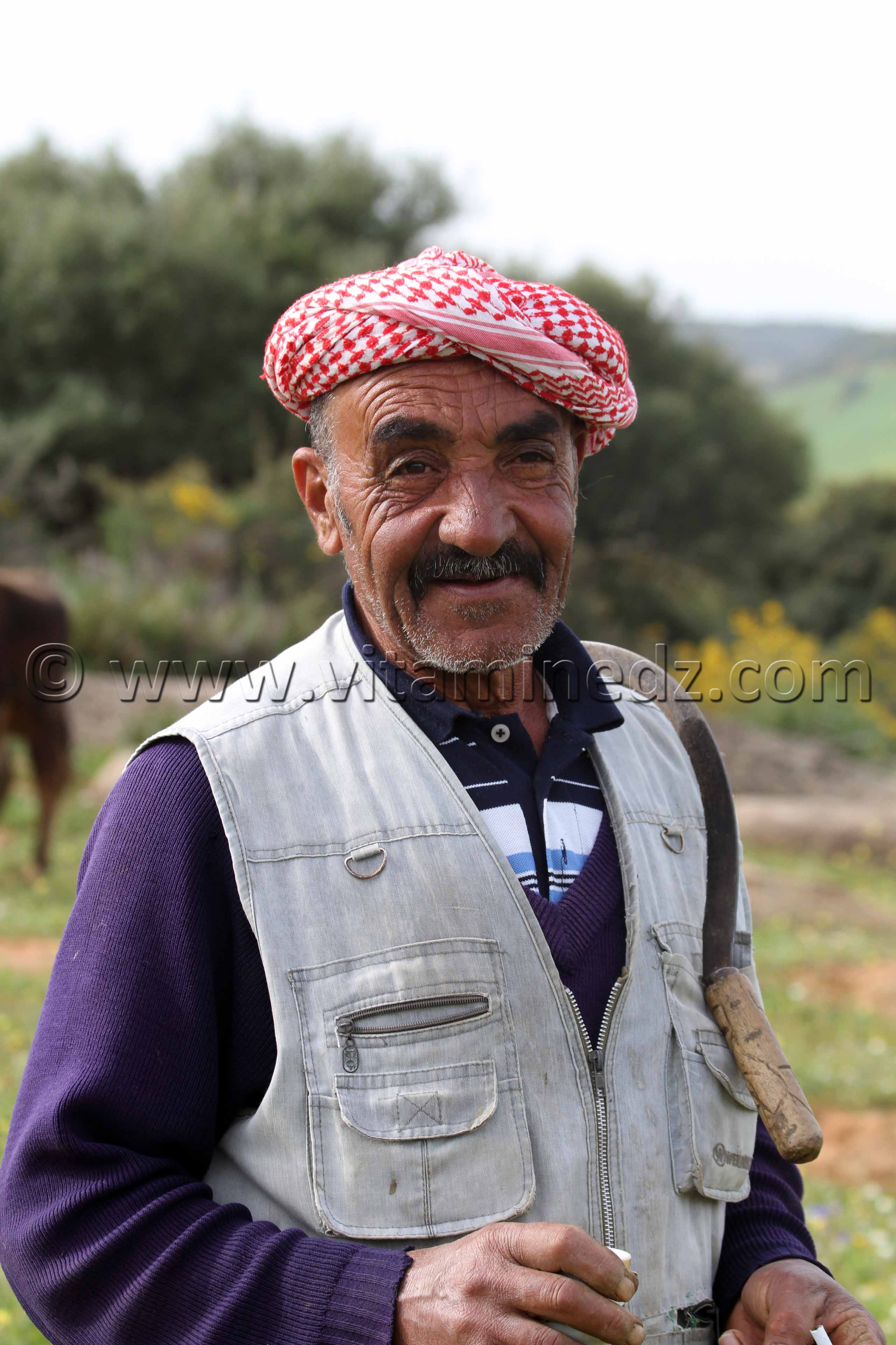 Paysan à Sidi Ali Ben Aliya à Tafraout (Commune Abou El Hassan, W. Chlef)