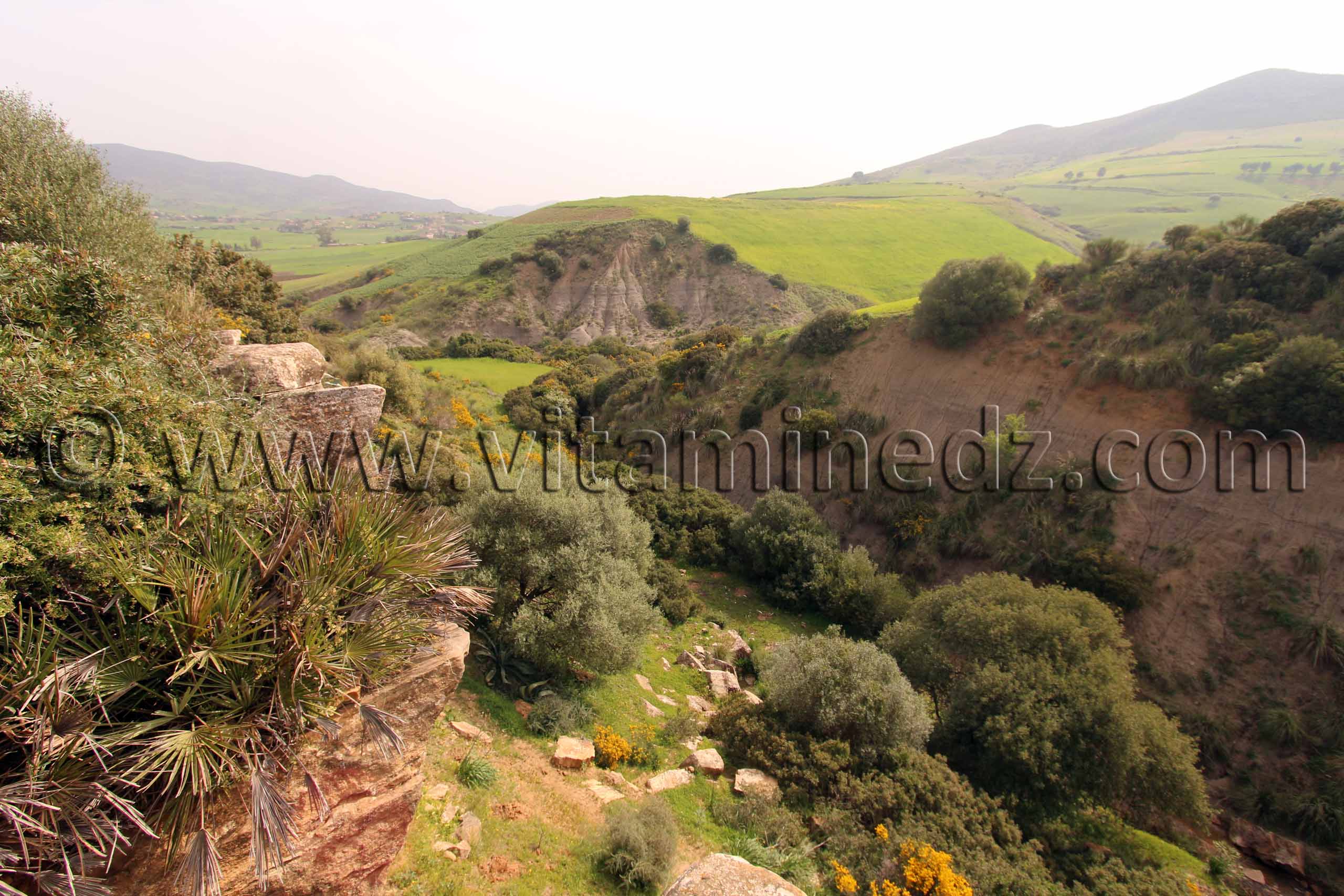 Ville romaine inconnue enfouie sous le Cimetière de Sidi Ali Ben Aliya à Tafraout (Commune Abou El Hassan, W. Chlef)