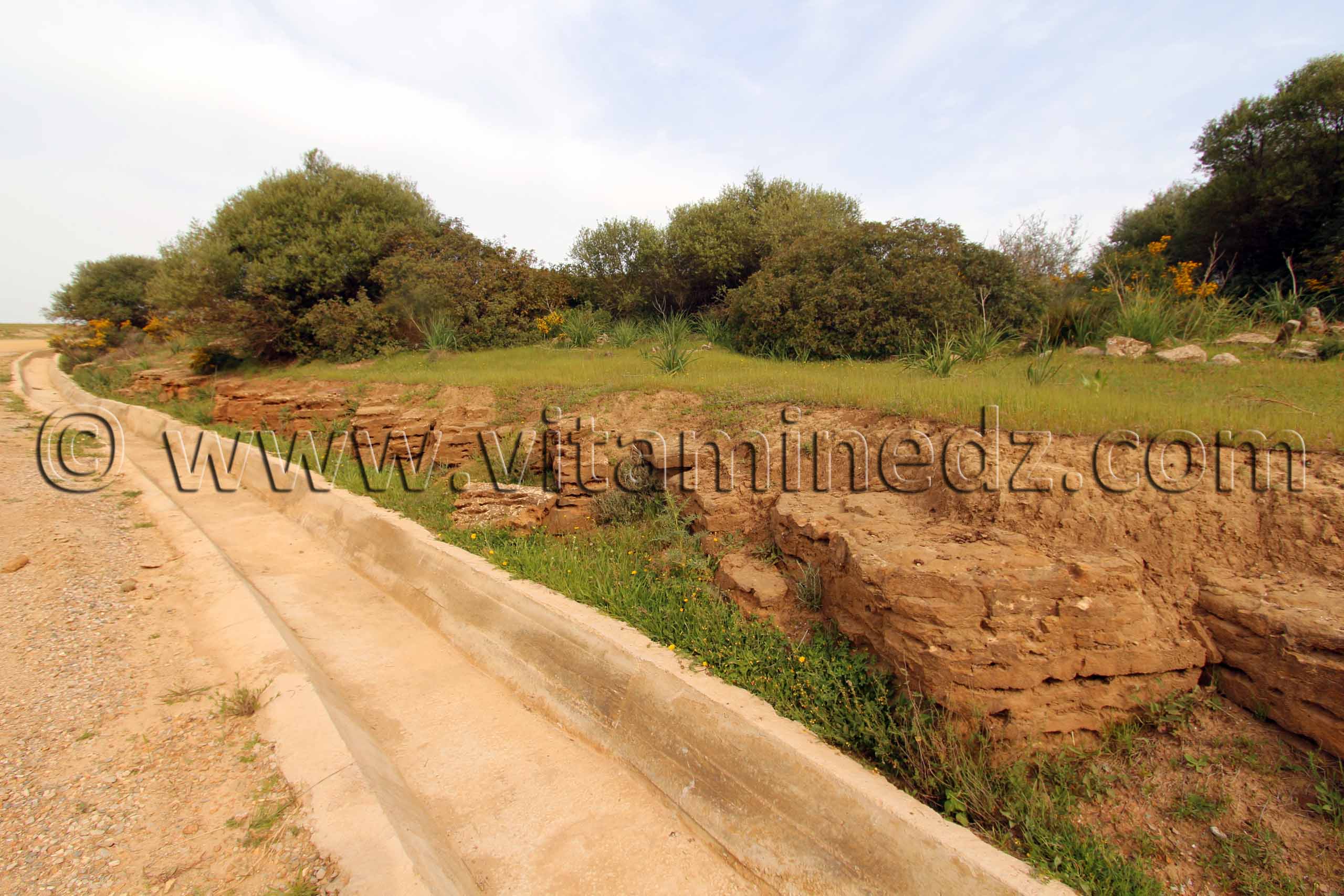 Allées d'une Ville romaine inconnue enfouie sous le Cimetière de Sidi Ali Ben Aliya à Tafraout (Commune Abou El Hassan, W. Chlef)