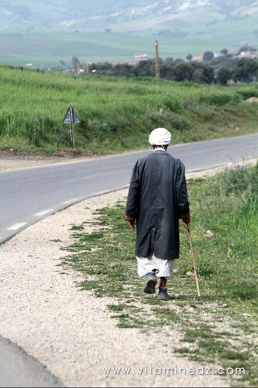 Paysan de Ghbel, (Commune Talassa, W. Chlef)