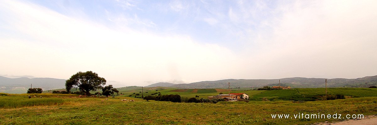 Boukirate, une bourgade tranquille dans la commune de Talassa (W. Chlef)
