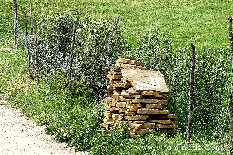 Dalles de Tafza, en vente à Boukirate, commune de Talassa (W. Chlef)