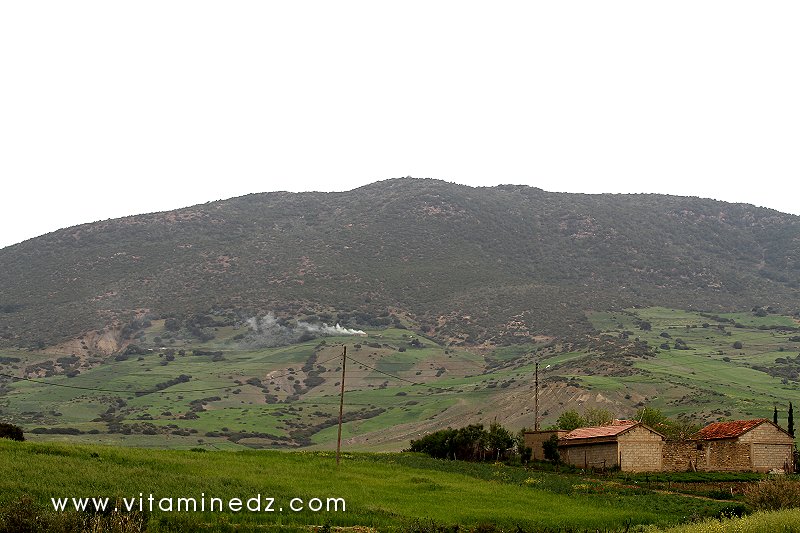 Boukirate, une bourgade tranquille dans la commune de Talassa (W. Chlef)