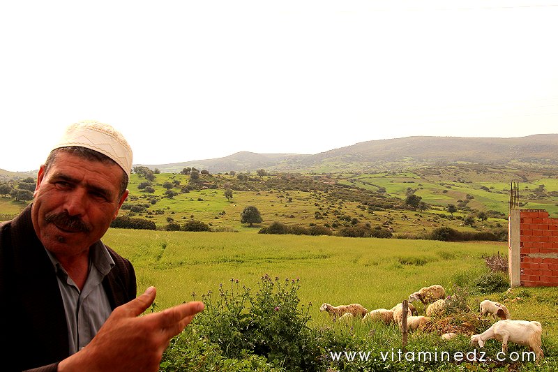 En arrière plan les Tombeaux de l'époque romaine au cimetière de Sidi Mohamed Benziane à Boukirate (commune de Talassa, Wilaya de Chlef)