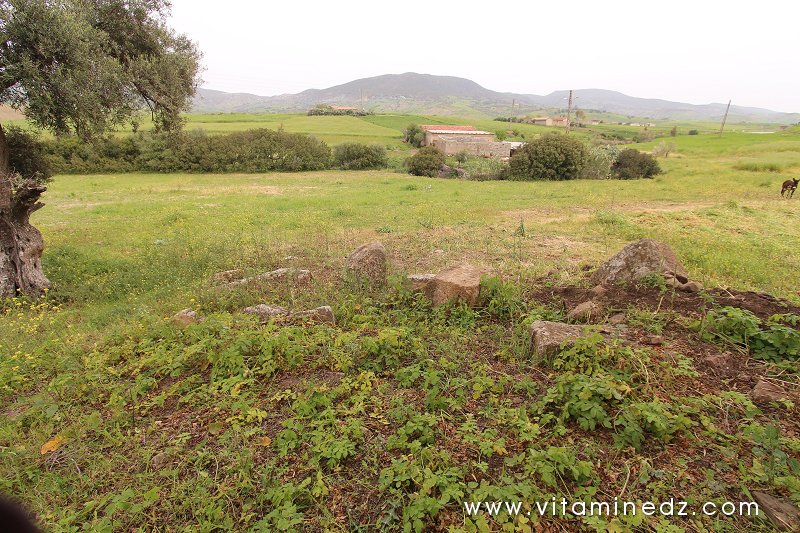 Blocs de pierres des Vestiges romains du palais de Boukirate (Commune Talassa) aujourd'hui disparu