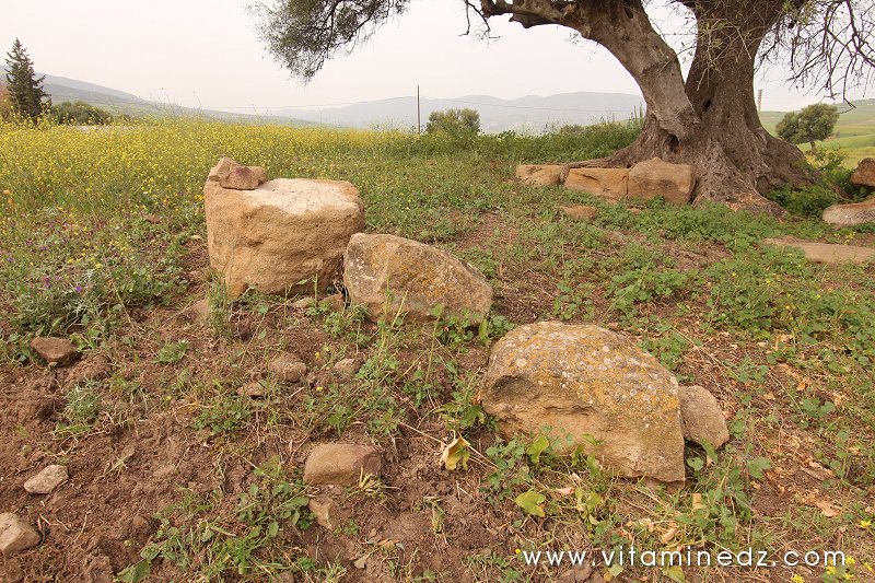 Blocs de pierres des Vestiges romains du palais de Boukirate (Commune Talassa) aujourd'hui disparu