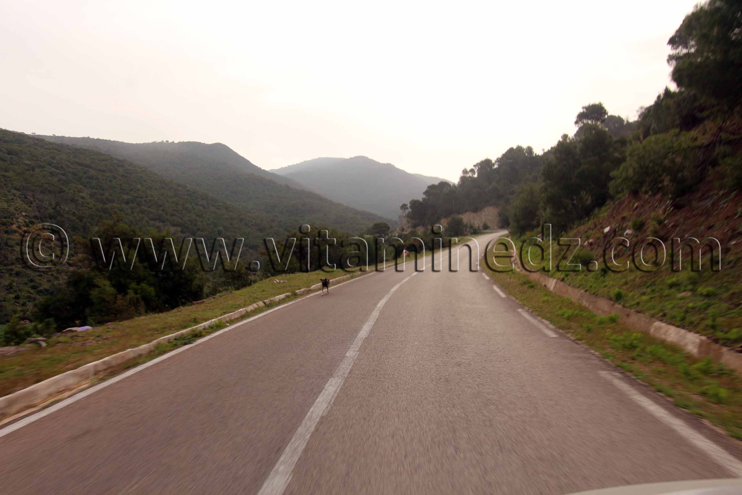 Route vers Talassa commune de la wilaya de Chlef