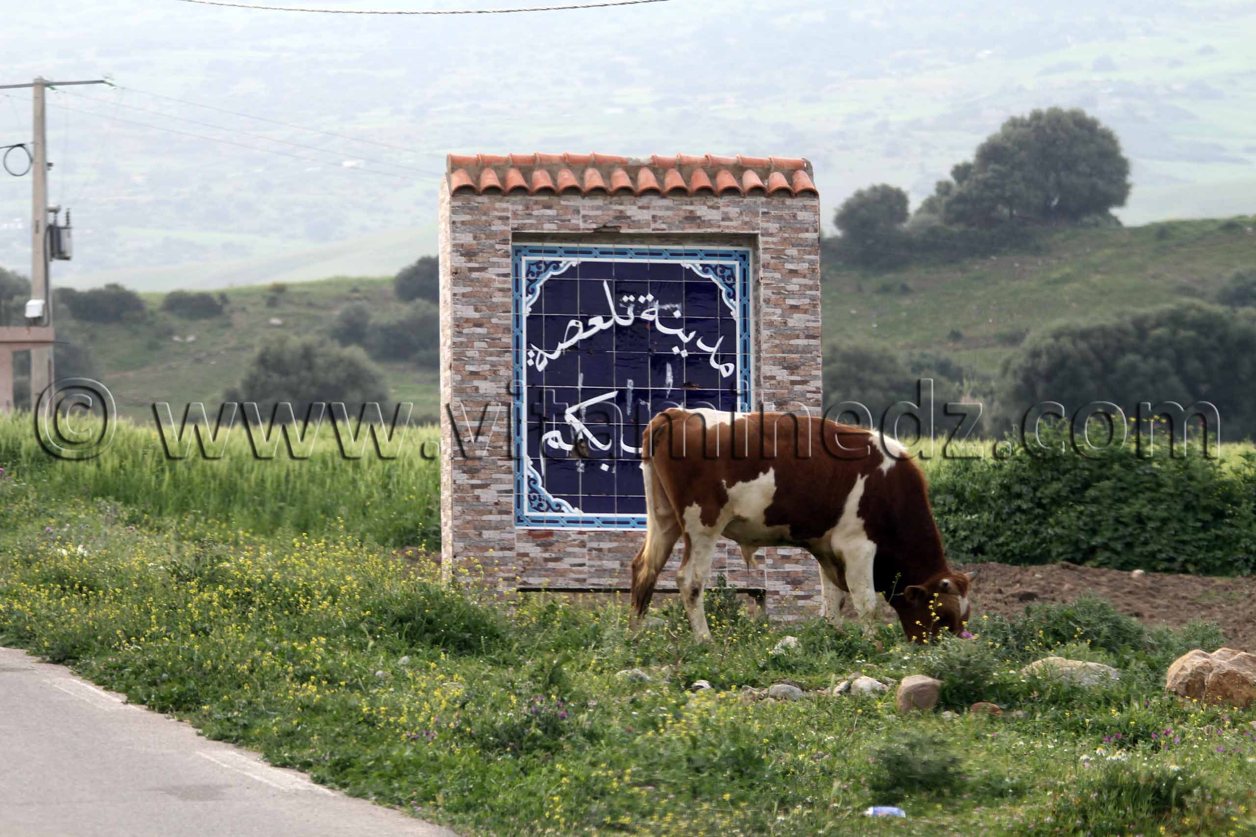 Bienvenue à Talassa commune de la wilaya de Chlef