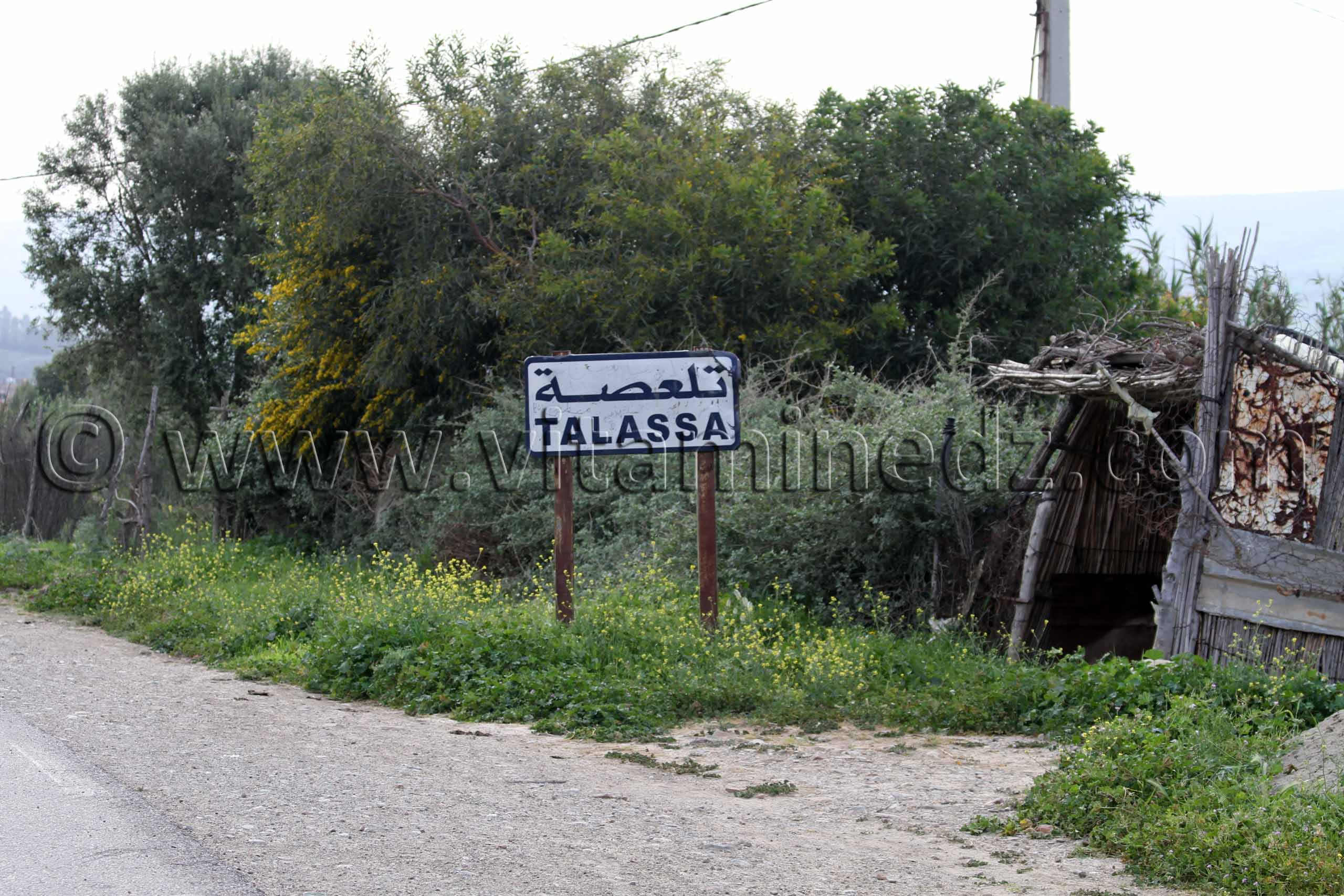 Entrée Talassa commune de la wilaya de Chlef