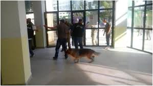 Scènes de Violence à l'INATAA de Constantine: Trente blessés dont dix par morsures de chiens