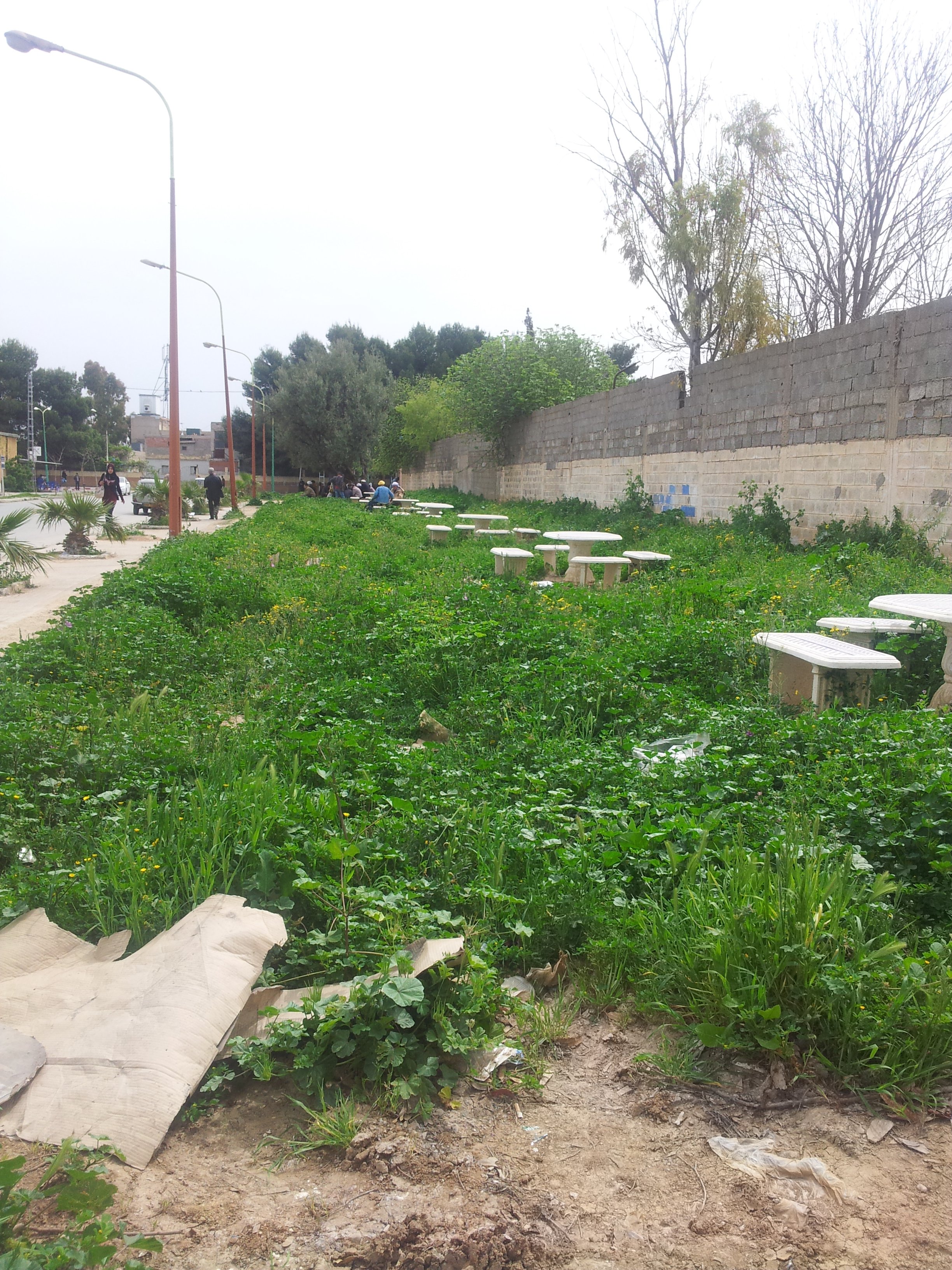 Jardin sauvage à Bréa (Abou Tachfine)