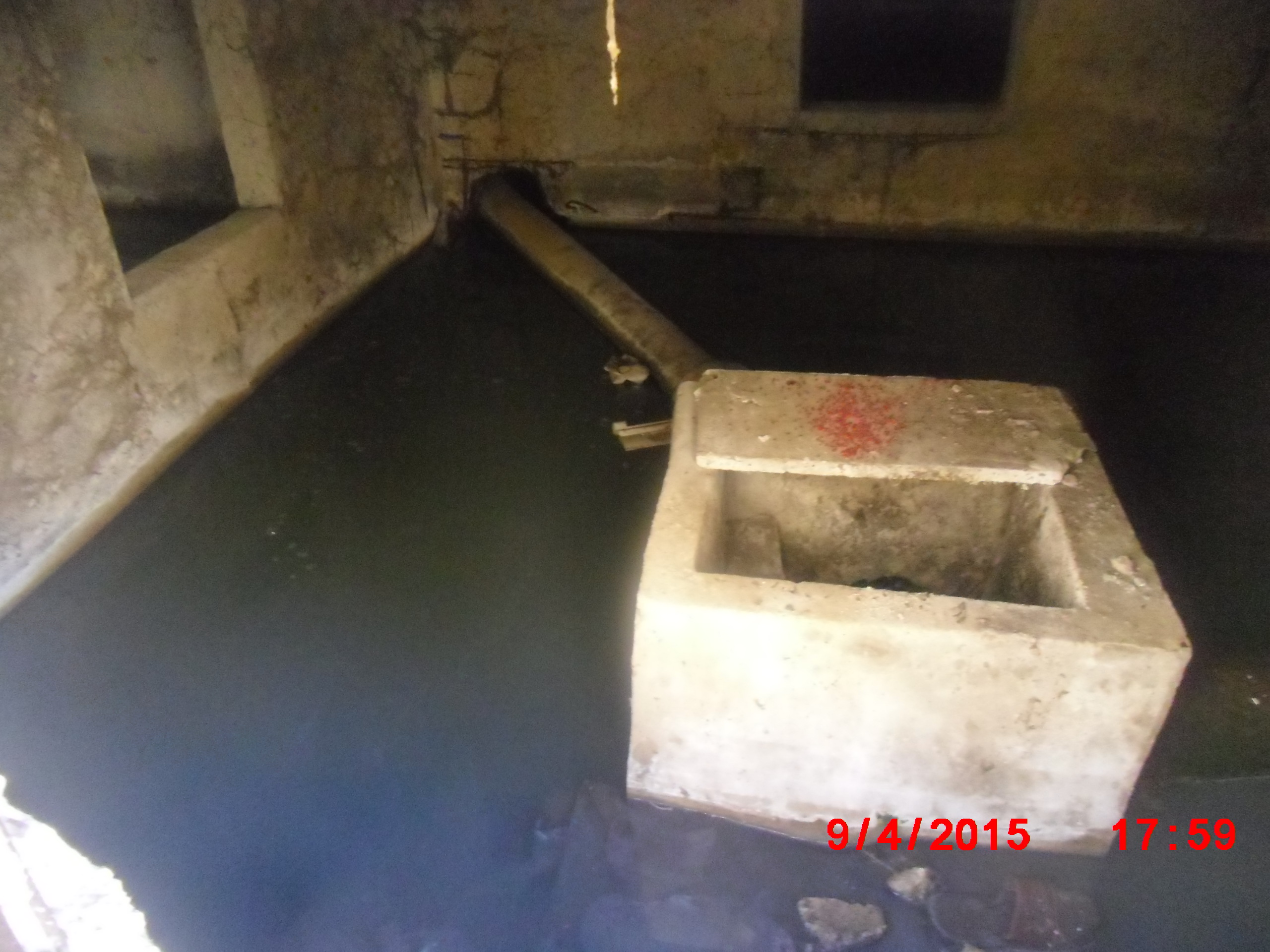 vide sanitaire des batiments citée 300 lgts de bordj el bahri