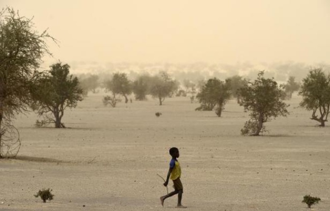 Planète - Mai 2015, le plus chaud mois de mai dans le monde depuis la fin du 19e siècle