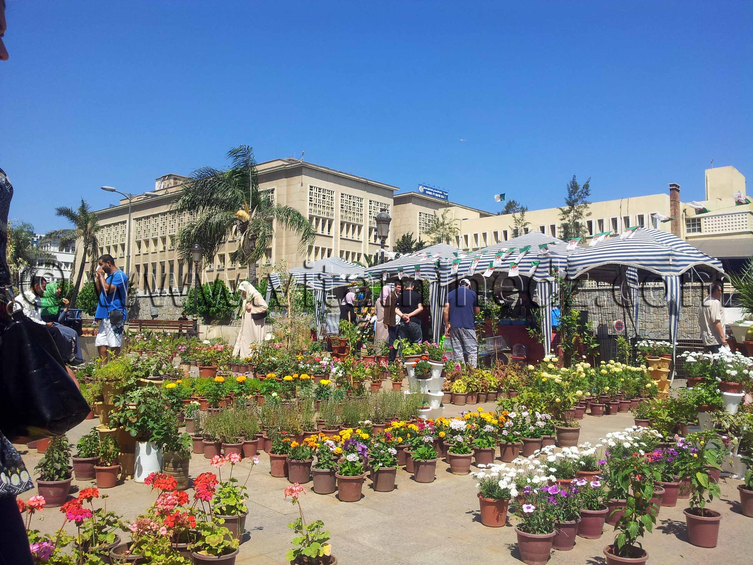Alger centre, fleuristes de la place 1er Mai