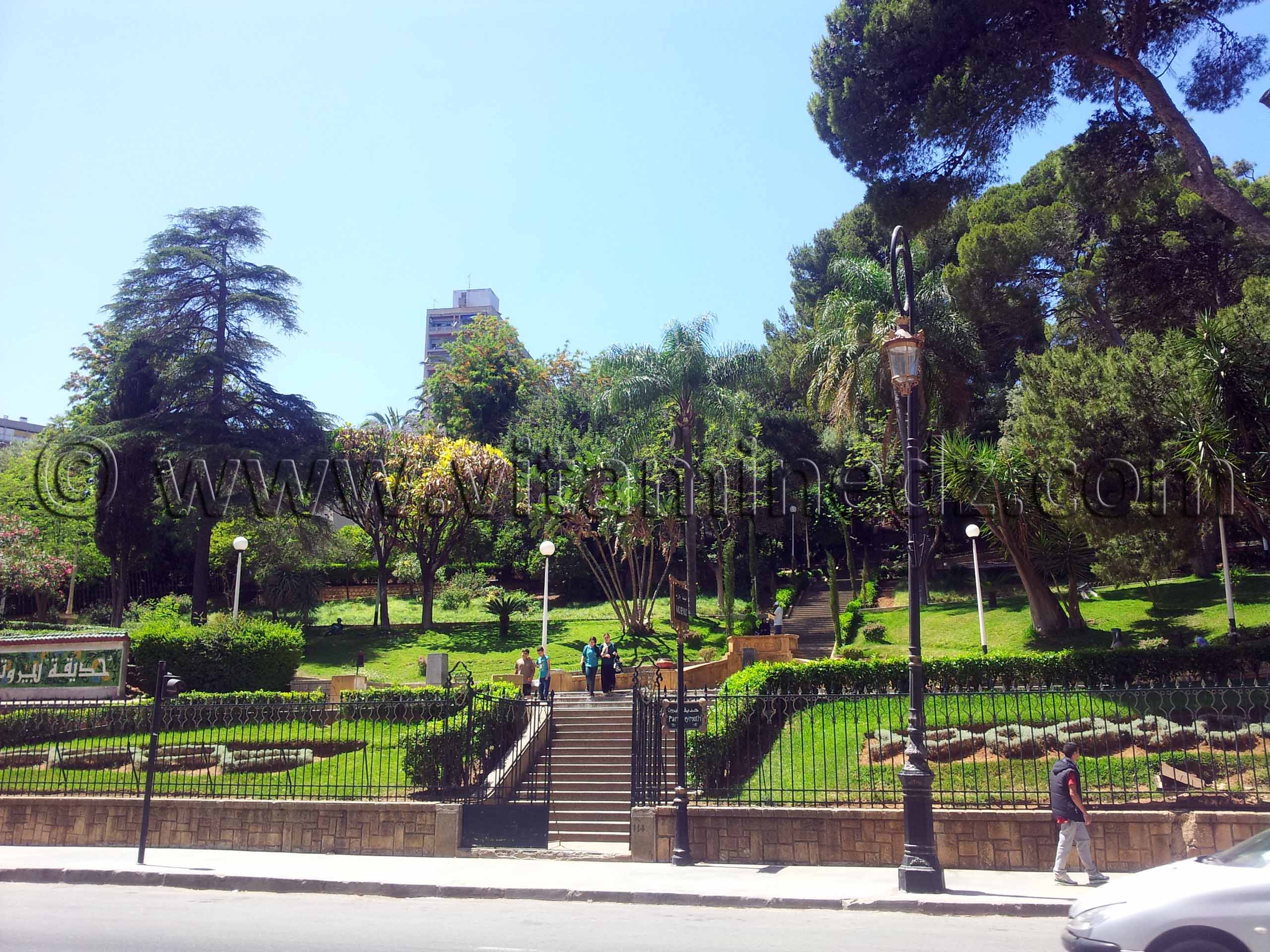 Alger, Telemly, Jardin