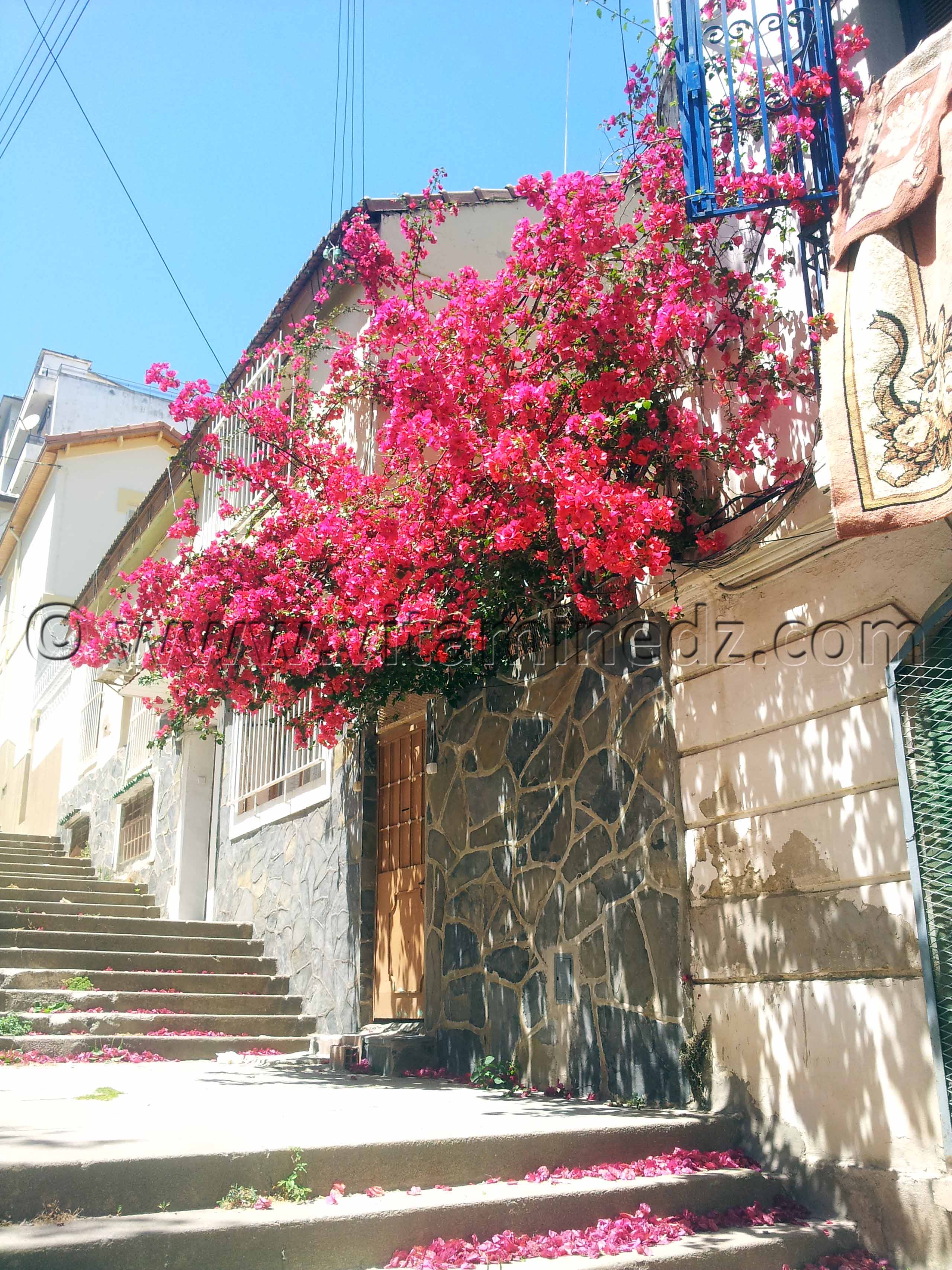 Alger centre, maison