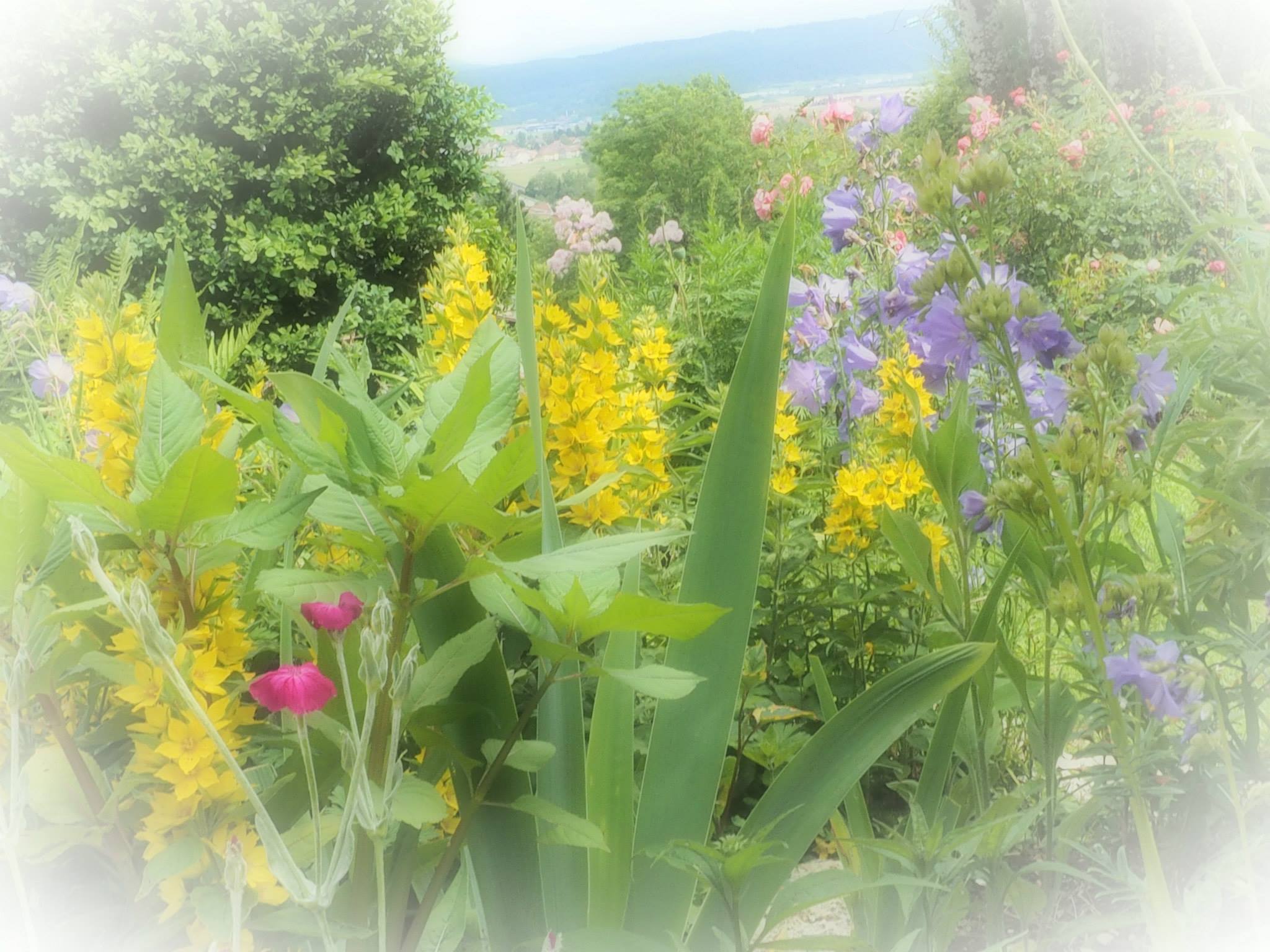 prestigieux des bouquets