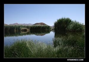 La cuvette de Ain Ouarka,