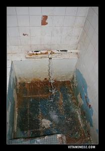 Défaut d’hygiène à Ain Ouarka (Naâma)