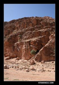 Ain Ouarka, Djebel Chemarikh : 1672 m