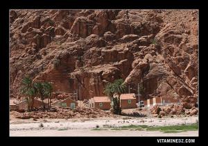 Hammam Ouarka : habitation pour la location