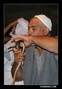 Dresseur de serpents Aissaoui
