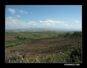 Champs de Ain Takbalet, en face les collines de Tlemcen