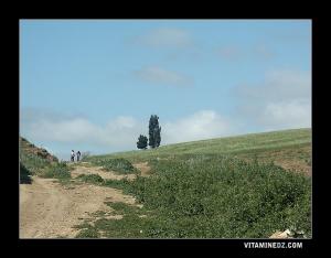 Sentiers au milieu des champs Ain Tekbalet
