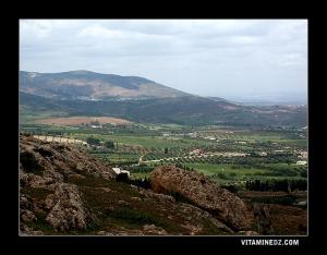 Les champs de Mansourah (Ain Deheb) vus du plateau de Lalla Setti