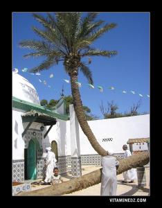 La Ziara de Sidi Lakhdar Benkhlouf