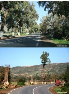 Massacre à la tronçonneuse sur la route de Rechgoun