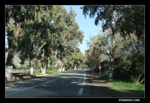 Route menant vers Raghgoun