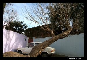 مسجد عين المجادلة و الحمامات الرومانية على وشك الإختفاء