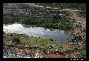 Pollution extreme à Koudia
