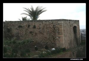 راس البحر, الصور بباب زير