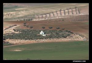 ضريح سيدي بلحضري